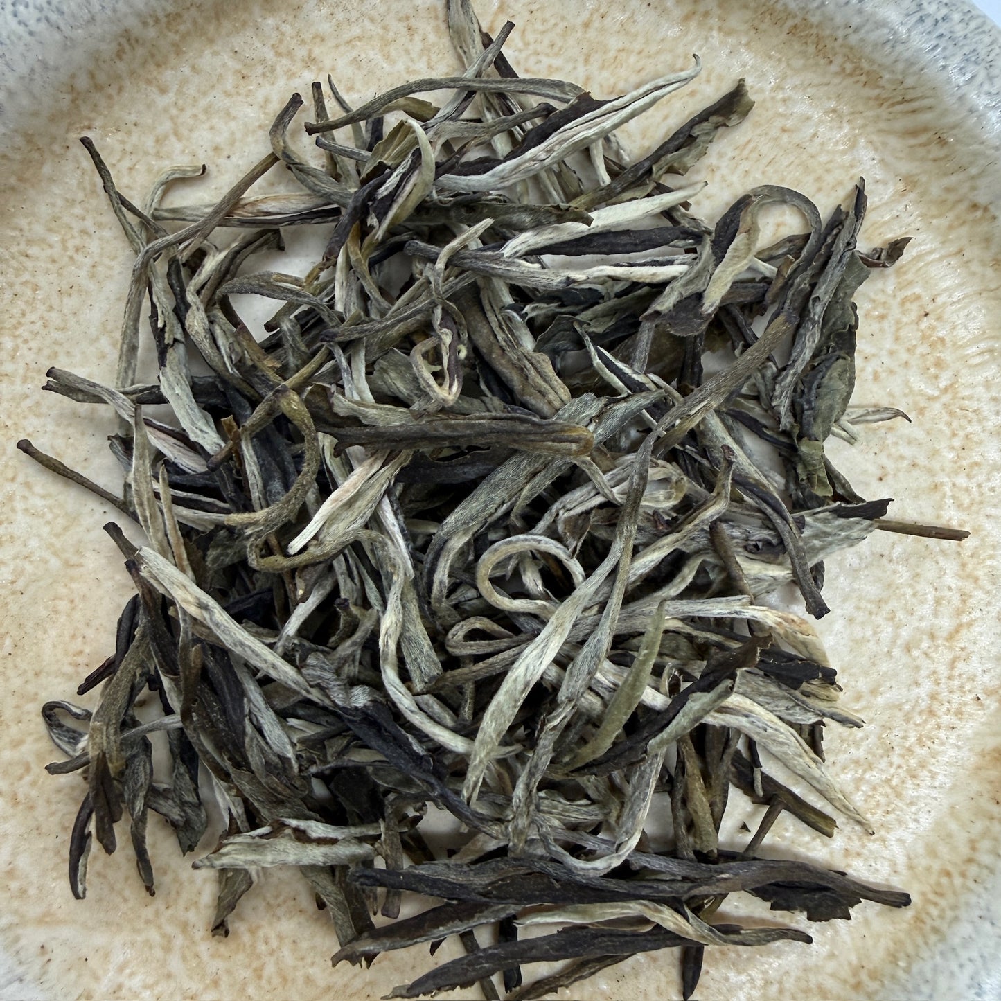 Silver Pine Needle