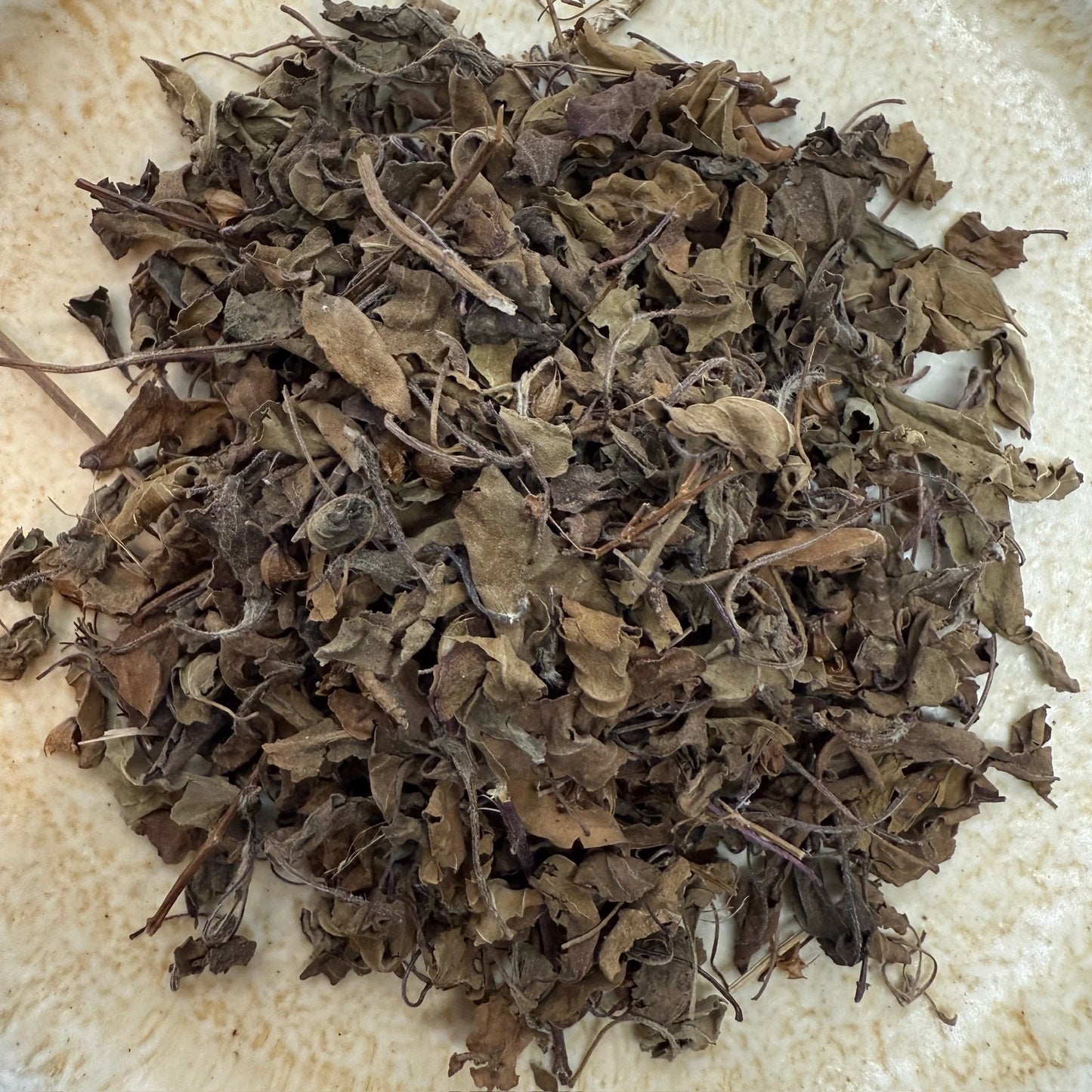 Tulsi BIO