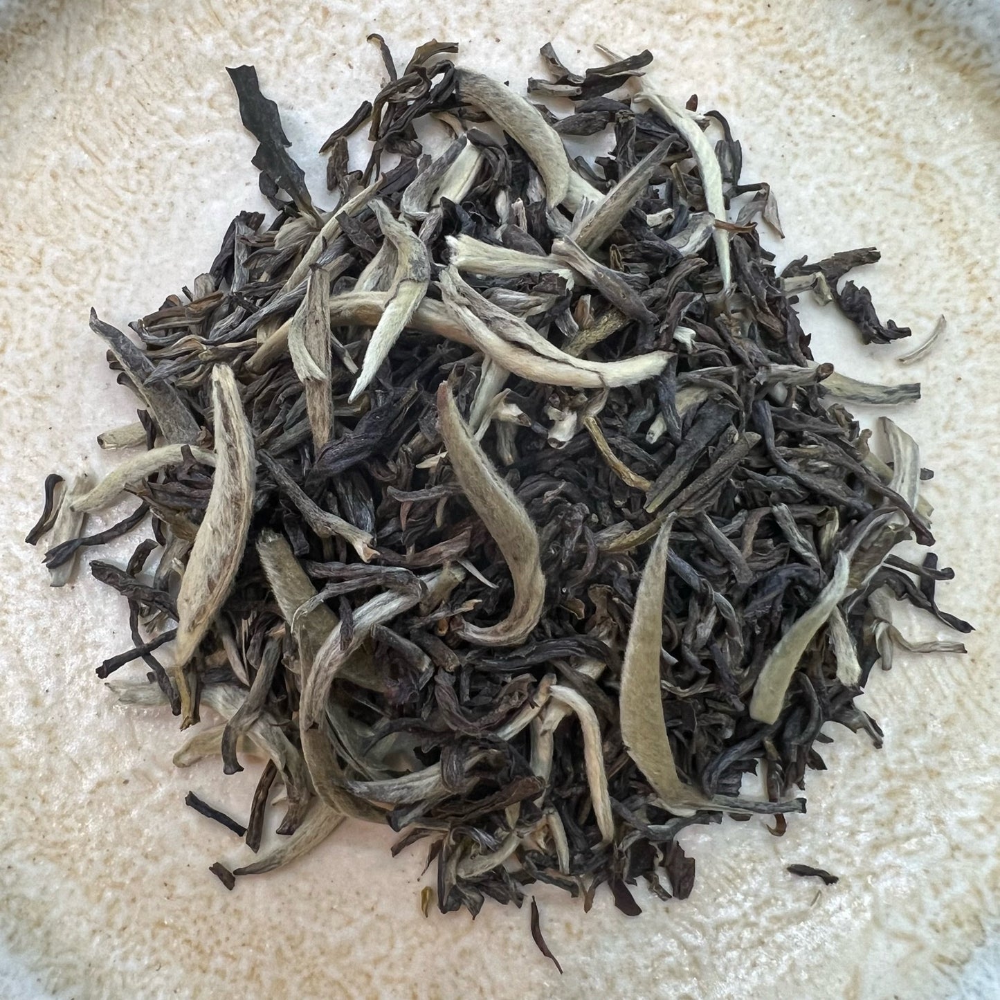 China White Dragon – Bai Long