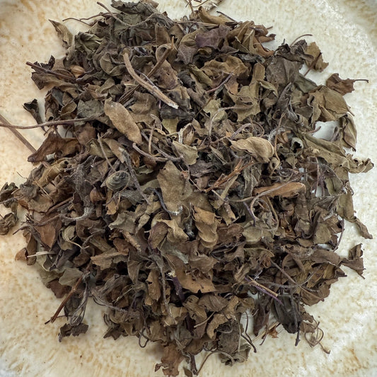 Tulsi BIO